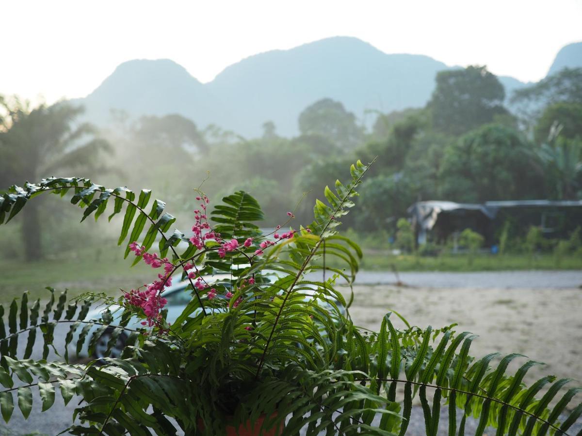 Riverstones Rainforest Retreat Homestay