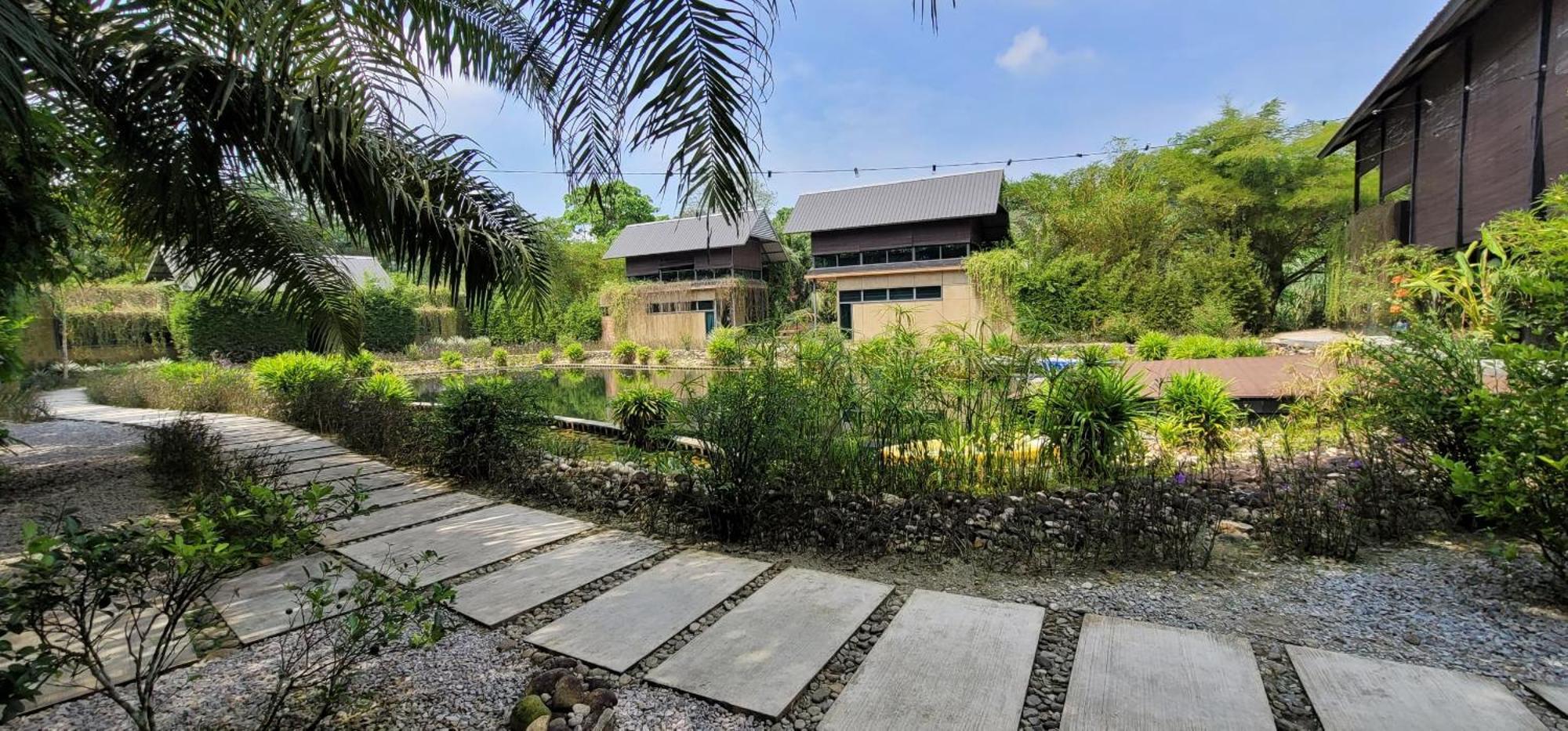 Riverstones Rainforest Retreat Homestay *